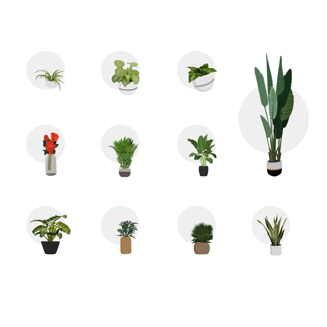 Vector Plants Pack