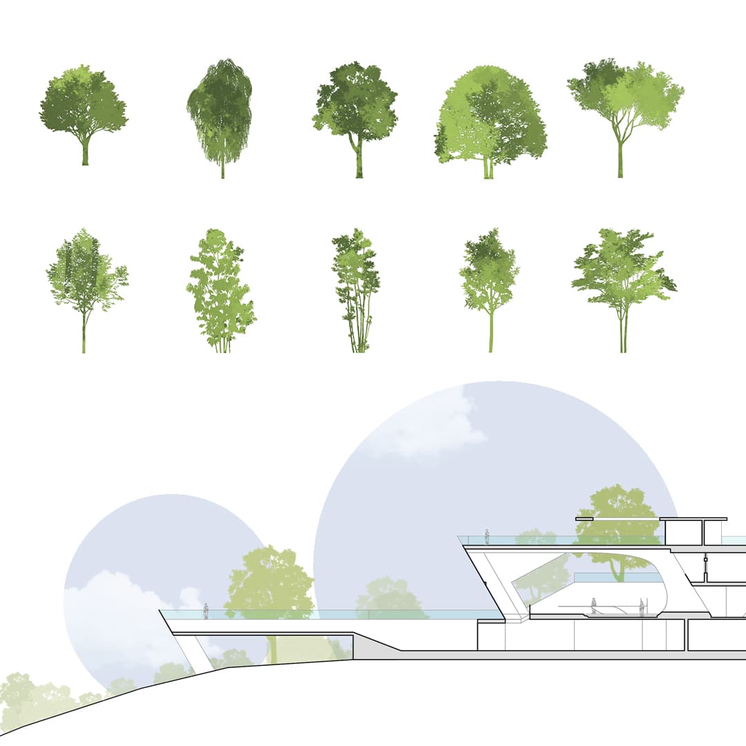 Photoshop Tree Brushes