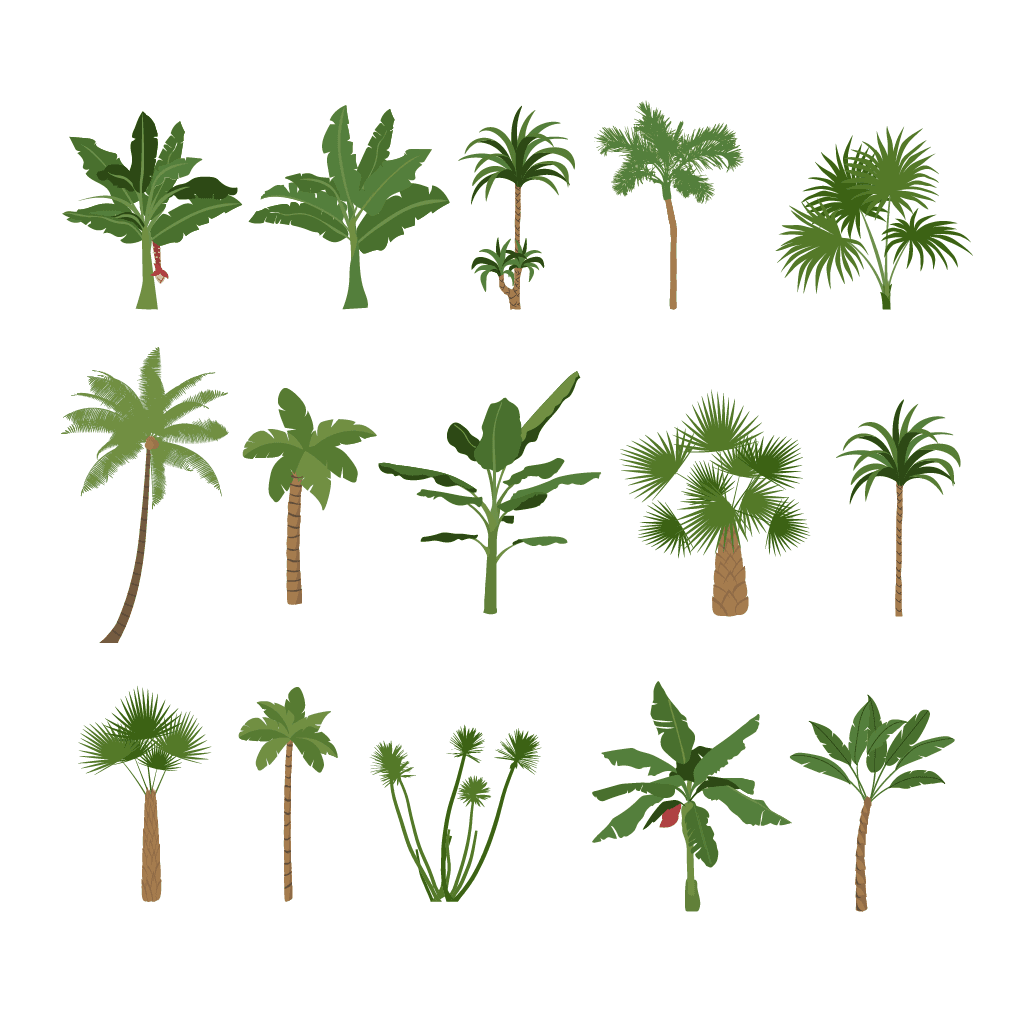 Tropical Tree Vector Set