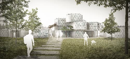 Root: An Integration of Sustainable Agricultural Practices in the UAE