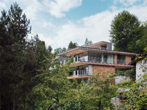 above the trees