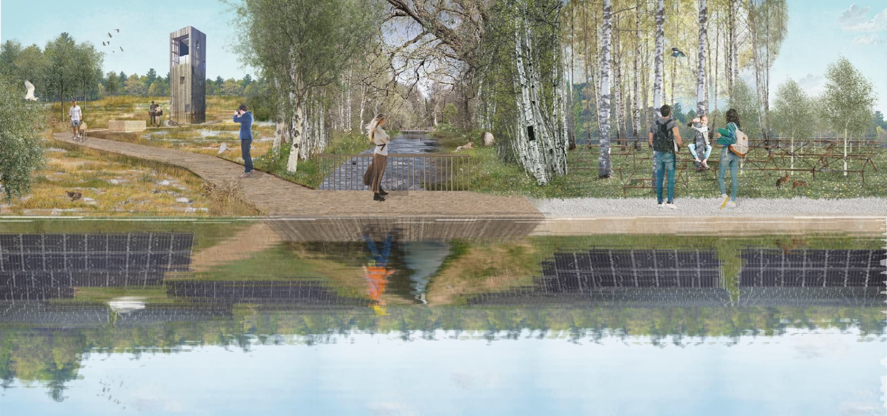 REWILD: Sowing seeds of nature from the death of a solar plant