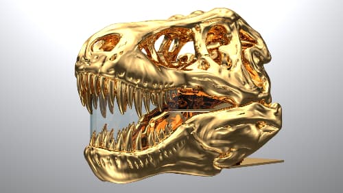 Inhabiting a T-Rex Skull