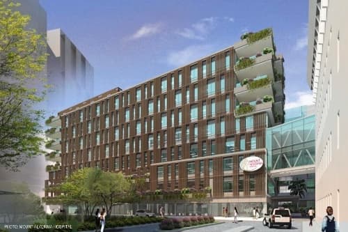 Mount Alvernia Hospital St. Anne's Mother & Child Wing