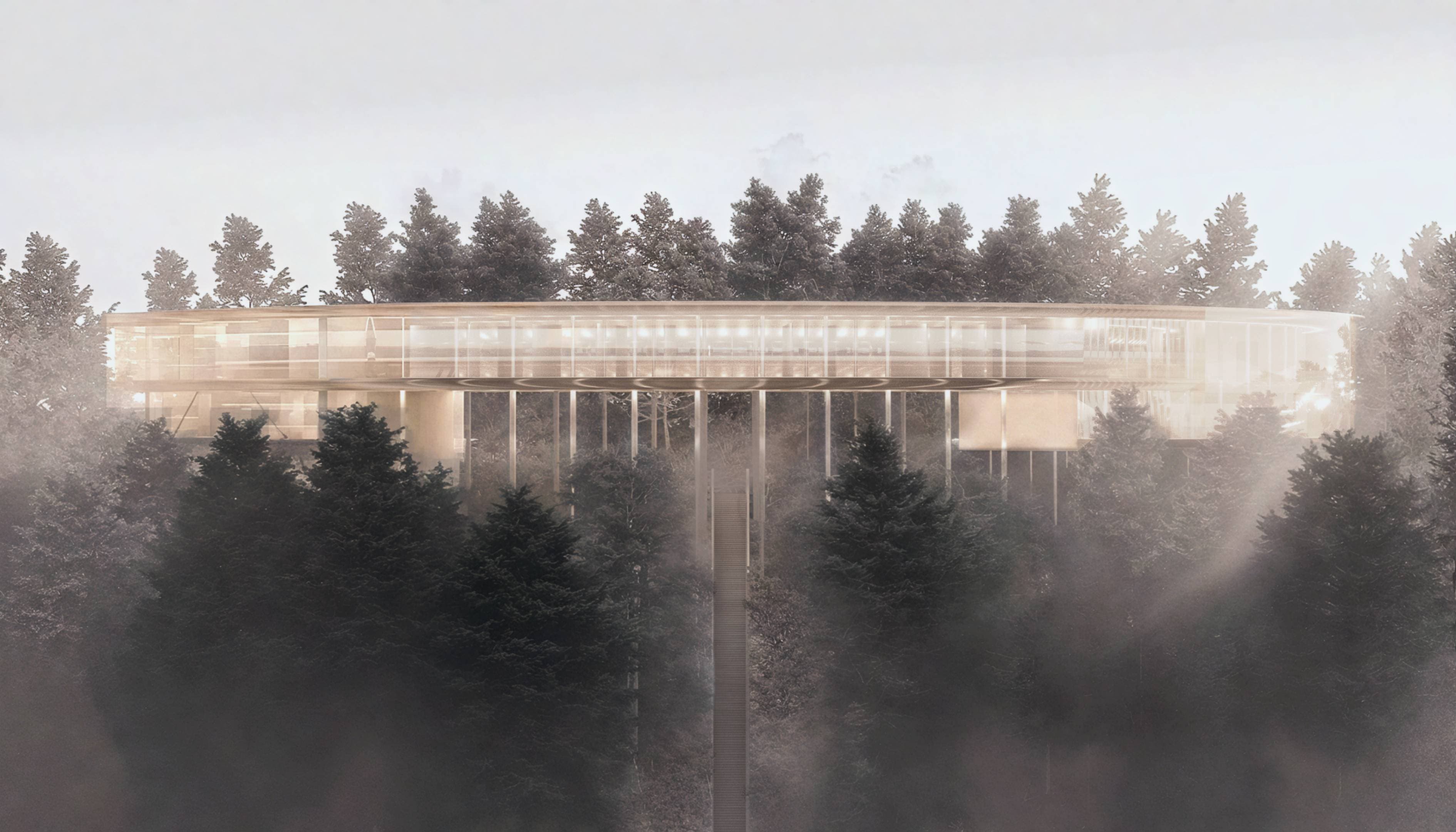 Library as Monastery